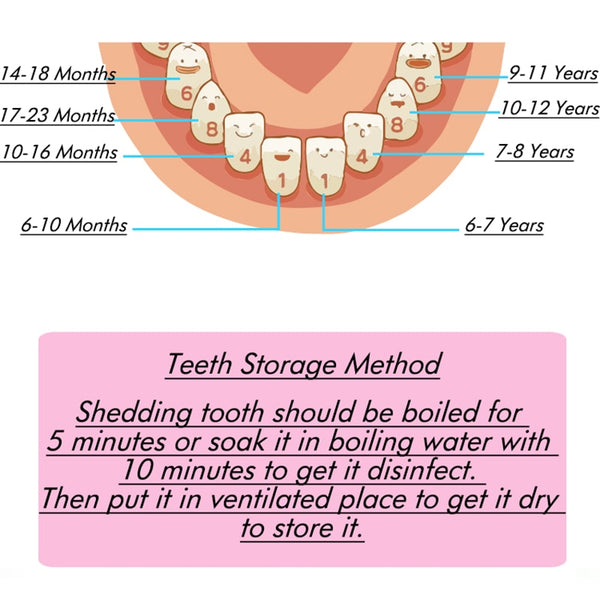 Wooden Baby Kids Tooth Storage Box English/Spanish/French/Russian/Italian Teeth Umbilical Lanugo Organizer Gift Keepsakes Save